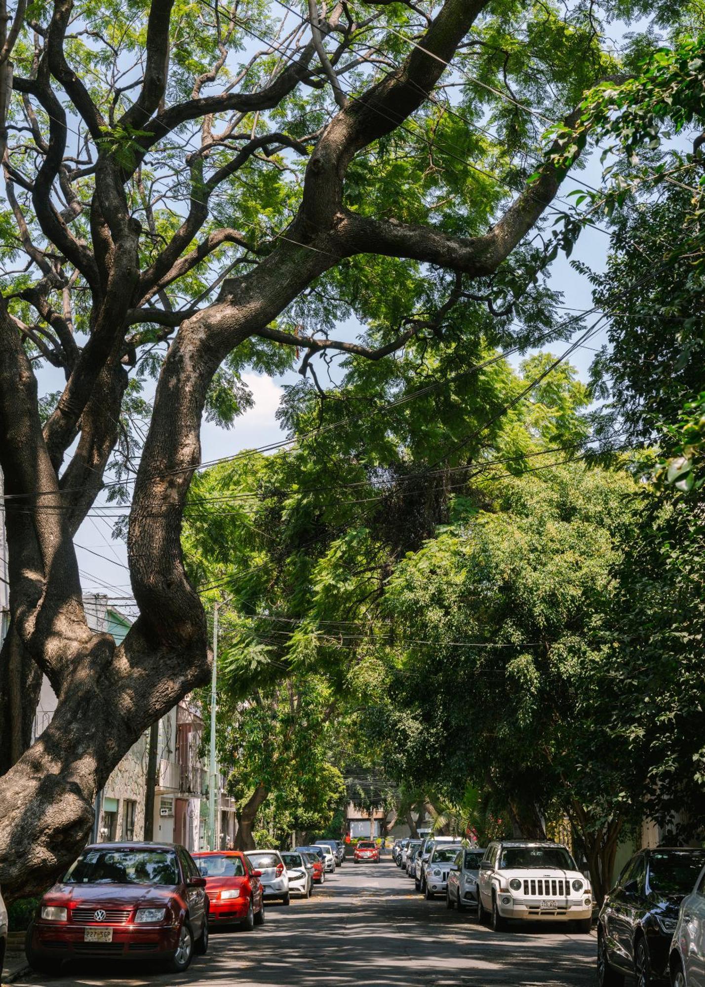 مدينة مكسيكو Sonder Miravalle المظهر الخارجي الصورة